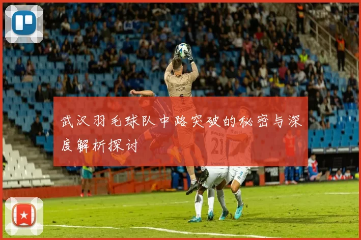 武汉羽毛球队中路突破的秘密与深度解析探讨