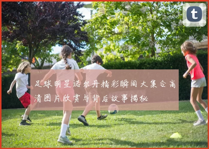 足球明星诺尔丹精彩瞬间大集合高清图片欣赏与背后故事揭秘