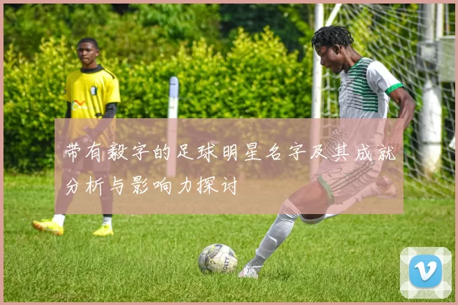带有毅字的足球明星名字及其成就分析与影响力探讨