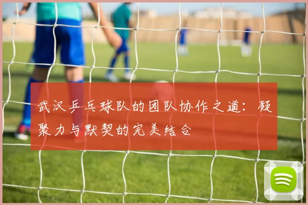 武汉乒乓球队的团队协作之道：凝聚力与默契的完美结合